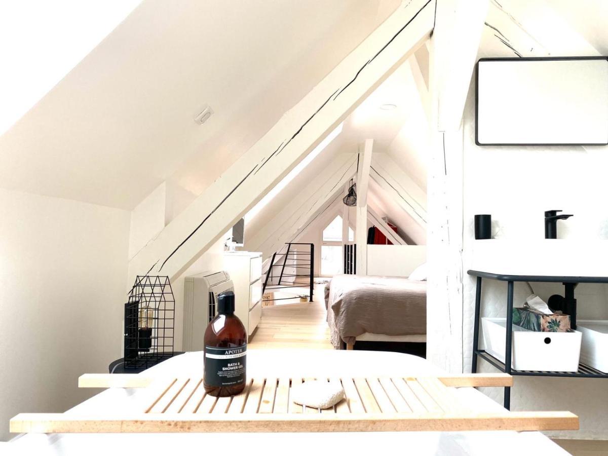 Apartmán La Cle Des Toits Colmar Exteriér fotografie